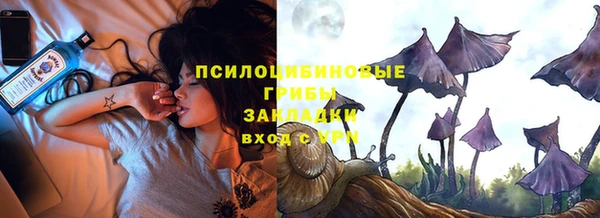 бошки Алексин