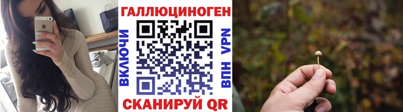 даркнет какой сайт  магазин продажи   Архангельск  Галлюциногенные грибы Psilocybine cubensis 