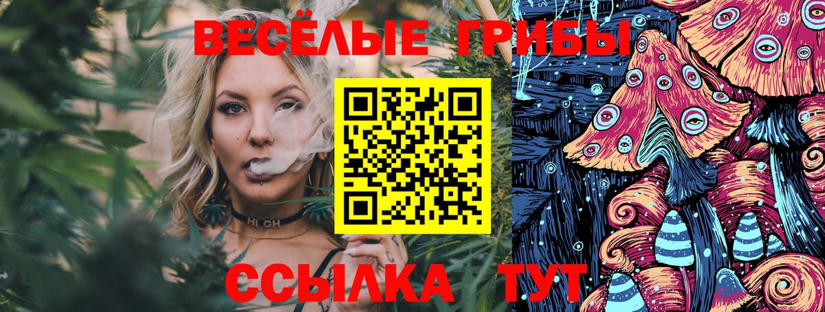 Галлюциногенные грибы Cubensis  Галлюциногенные грибы Psilocybe  где купить наркотик  Архангельск  Вход с VPN 